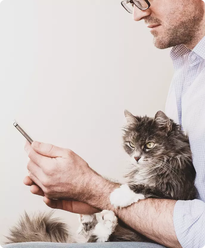 Cat dating